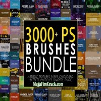 Creative Market 3000 Photoshop Stamp Brushes is a versatile collection of digital brushes designed to enhance creativity and productivity in Adobe Photoshop.