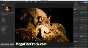 The software provides a collection of customizable presets that allow users to apply specific image adjustments with a single click.