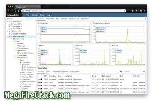 The software's primary objective is to provide a user-friendly interface for managing PostgreSQL databases, allowing users to create