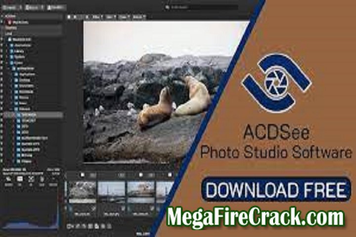 ACDSee Free V 2.1.0.474 PC Software with crack