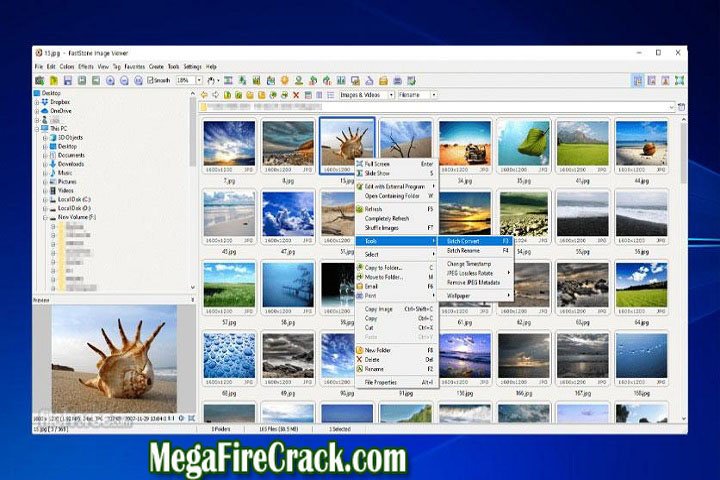 FastStone Image Viewer V 7.8 PC Software with patch