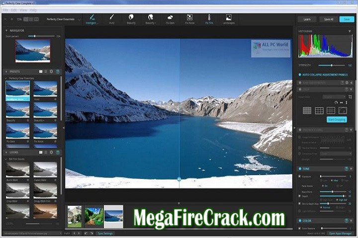 Perfectly Clear Video V 4.6.0.2605 PC Software with crack