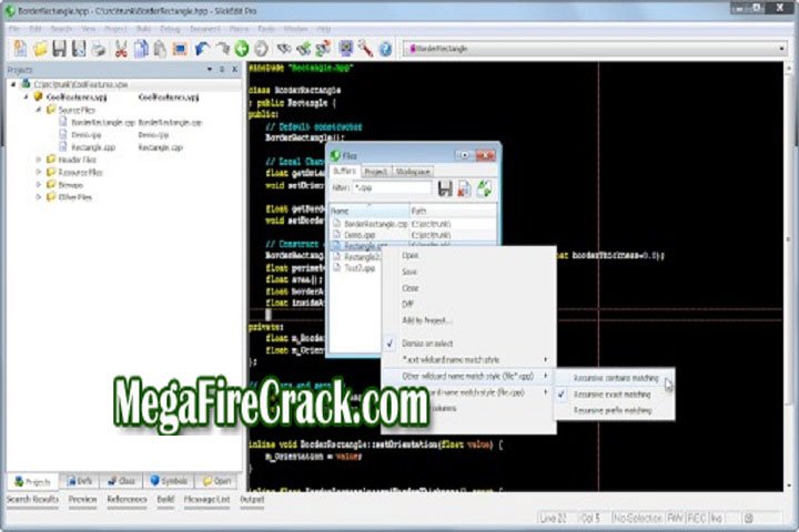 SlickEdit Pro V 28.0.0.6 PC Software with crack